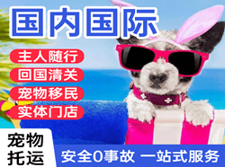 澜沧景迈航空货运国际宠物托运 【国